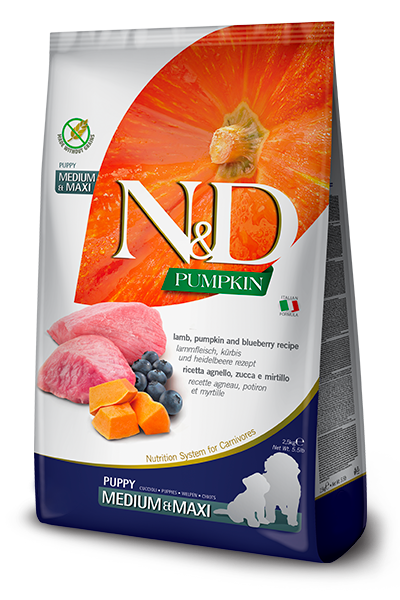N&D Pumpkin Dog Puppy Medium & Maxi с агнешко и боровинки, 12 кг