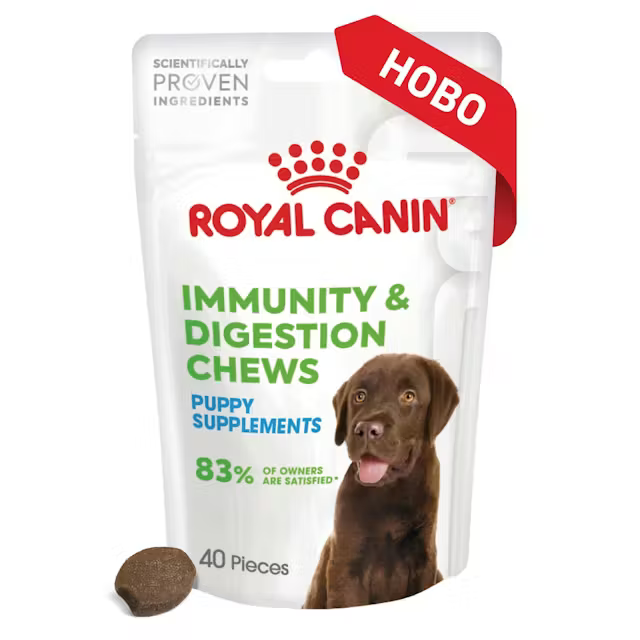 Royal Canin Puppy Immunity & Digestion supplement, 100 г