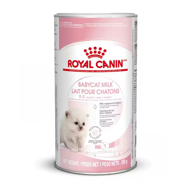 Royal Canin Babycat Milk, 300 г