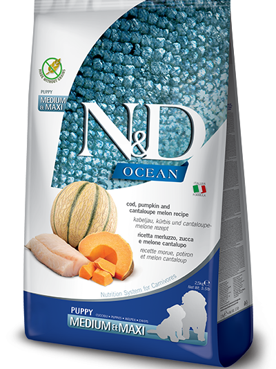 N&D Ocean Dog Puppy Medium & Maxi с треска, тиква и пъпеш, 12 кг