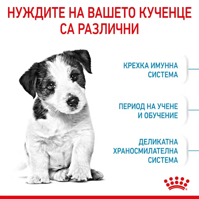 Royal Canin Mini Puppy, 2 кг - Image 3