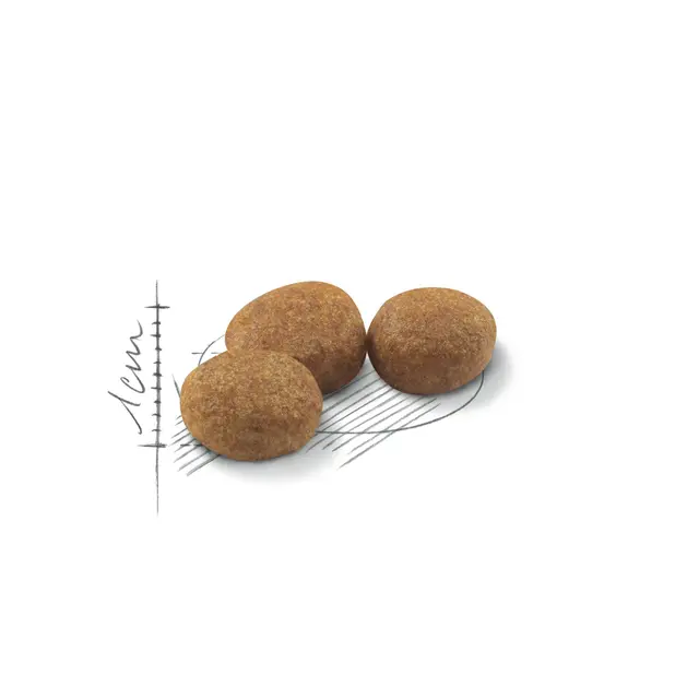 Royal Canin Sterilised 37, 10 кг - Image 2