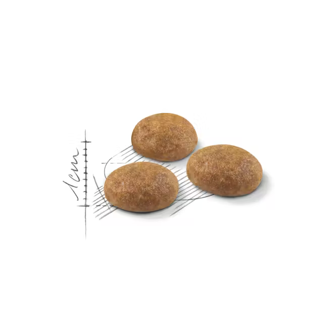 Royal Canin Outdoor за котки, 2 кг - Image 2