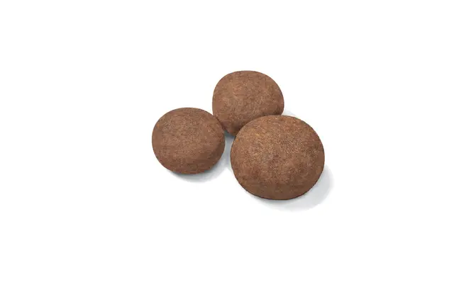 Royal Canin Medium Puppy, 3 кг - Image 2