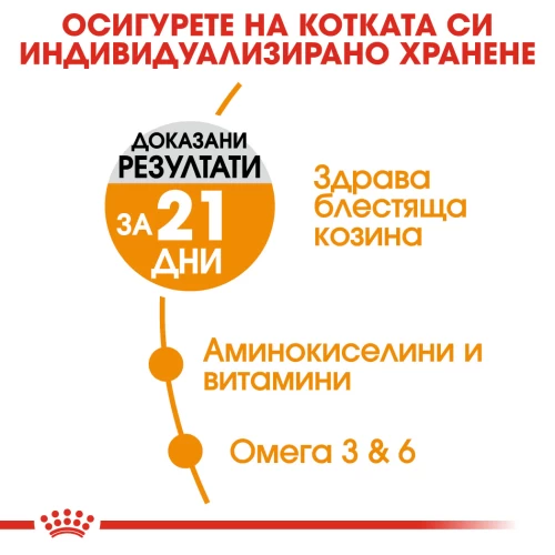 Royal Canin Hair & Skin Care за котки, 10 кг - Image 2