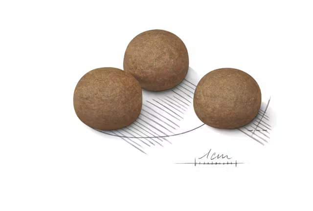 Royal Canin Maxi Digestive Care, 3 кг - Image 3