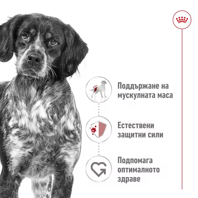 Royal Canin Medium Adult консерва, 410 г - Image 3