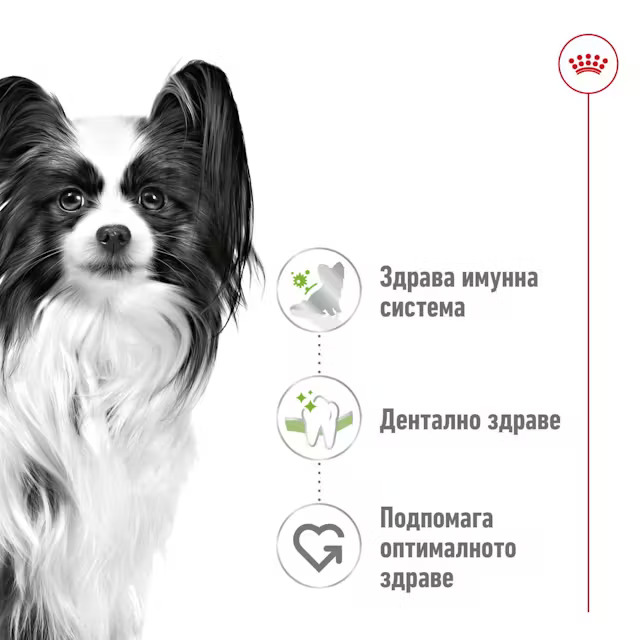 Royal Canin Size Health Nutrition X-Small Adult, 500 г - Image 3