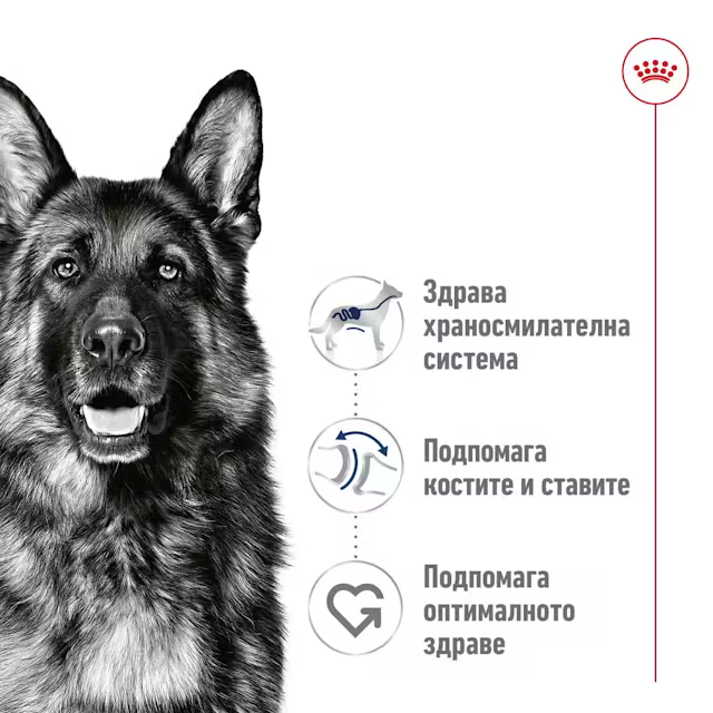Royal Canin Maxi Adult пауч, 410 г - Image 3