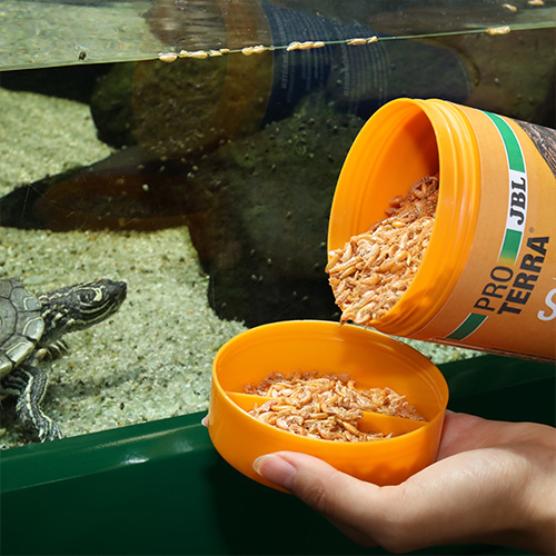 JBL ProTerra Gammarus лакомство за водни и блатни костенурки, 1000 мл - Image 3