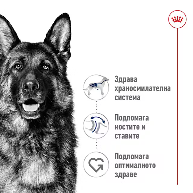 Royal Canin Maxi Adult, 12 кг - Image 3