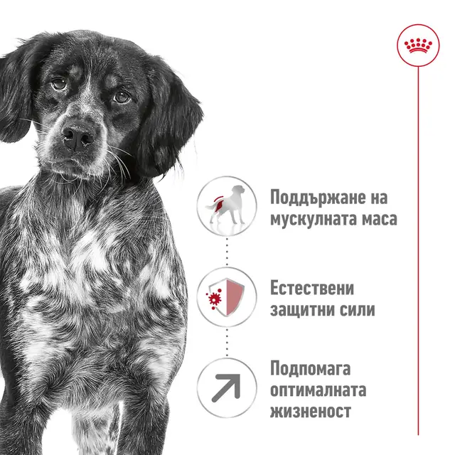 Royal Canin Medium Adult 7+, 10 кг - Image 3