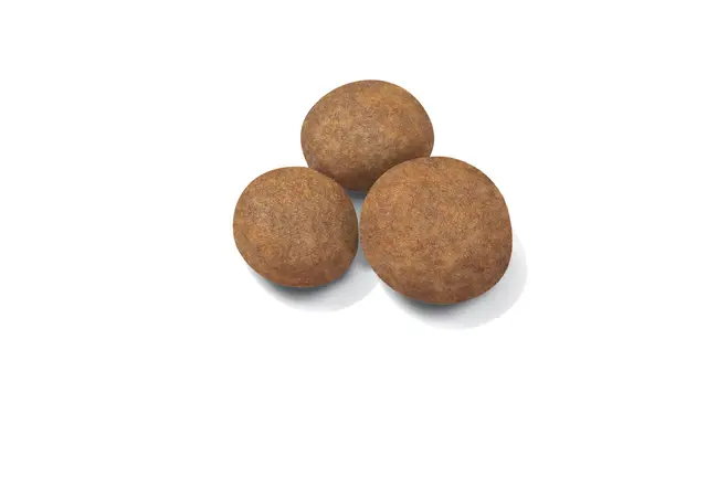 Royal Canin Maxi Puppy, 15 кг - Image 3
