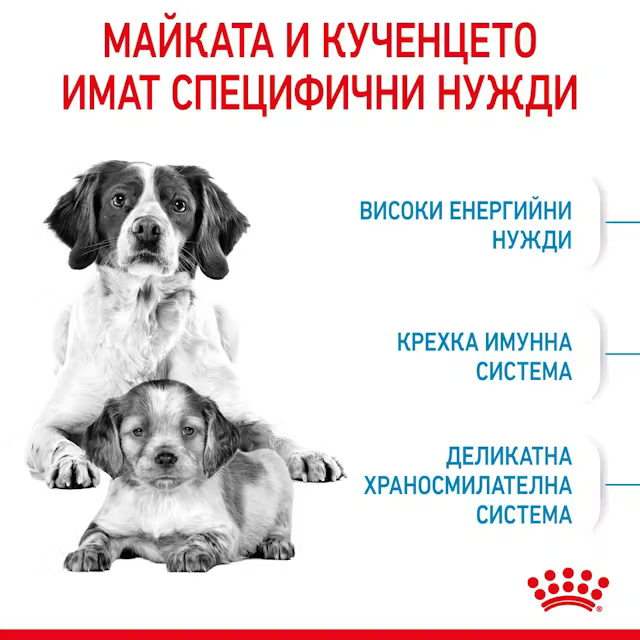 Royal Canin Medium Starter Mother & Babydog, 4 кг - Image 3