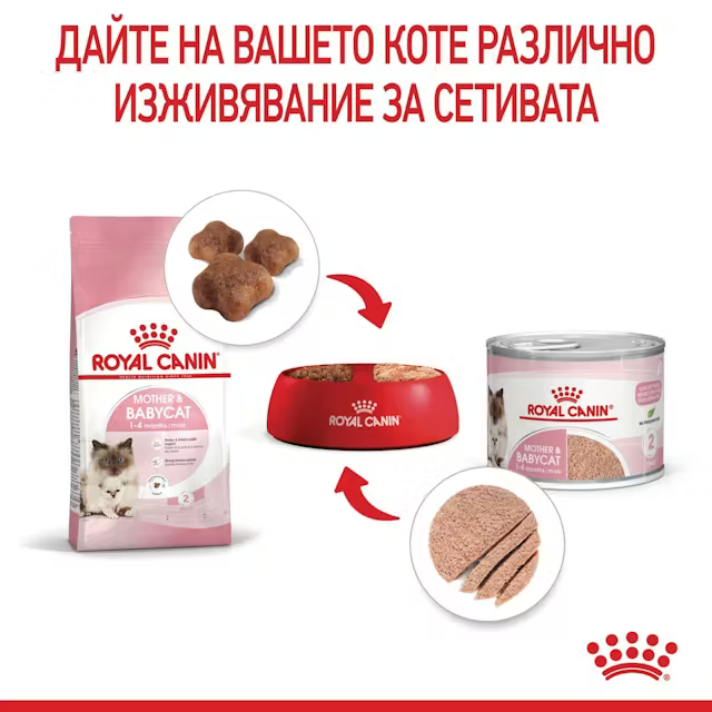 Royal Canin Mother & Babycat, 2 кг - Image 3