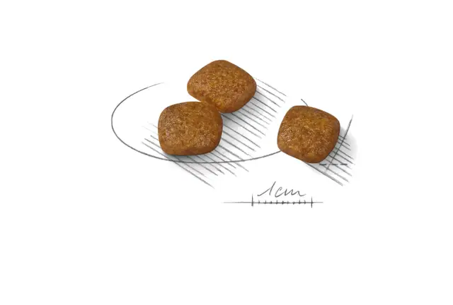 Royal Canin Care Mini Urinary Care, 1 кг - Image 3