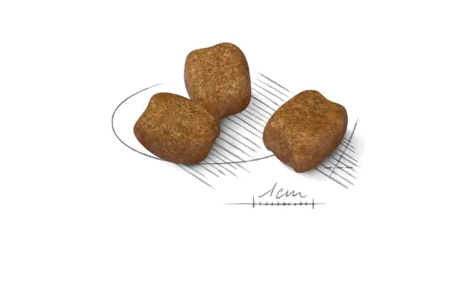 Royal Canin Mini Dental Care, 1 кг - Image 3