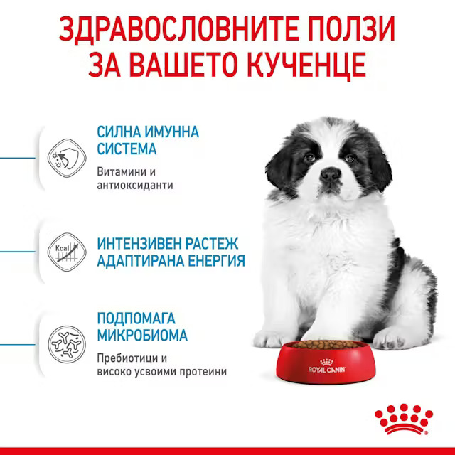 Royal Canin Giant Puppy, 3.5 кг - Image 3