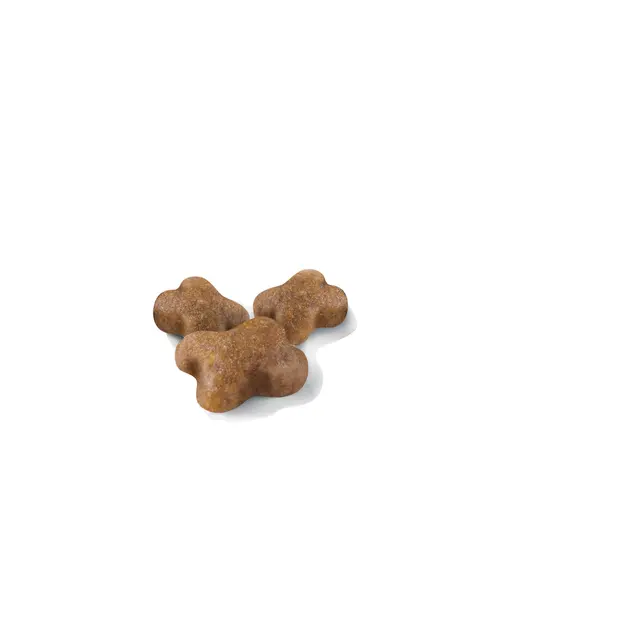 Royal Canin Kitten за котенца, 1.2 кг - Image 3