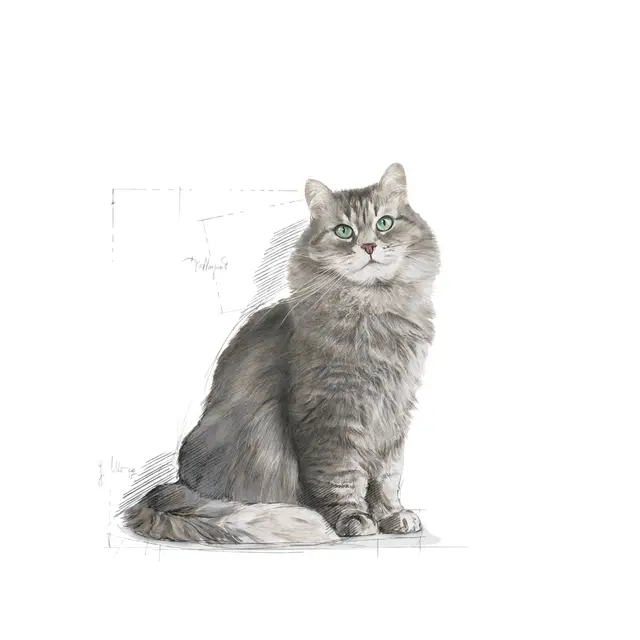 Royal Canin Sensible 33, 10 кг - Image 3