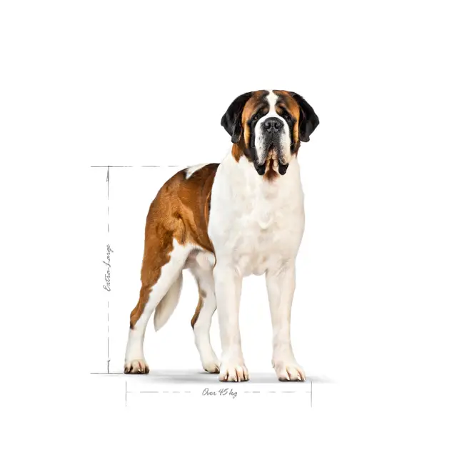 Royal Canin Giant Adult, 15 кг - Image 3