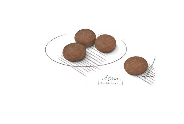 Royal Canin Mini Digest Care, 1 кг - Image 3