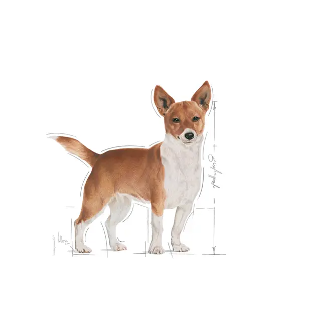 Royal Canin CCN Urinary loaf, 85 г - Image 4