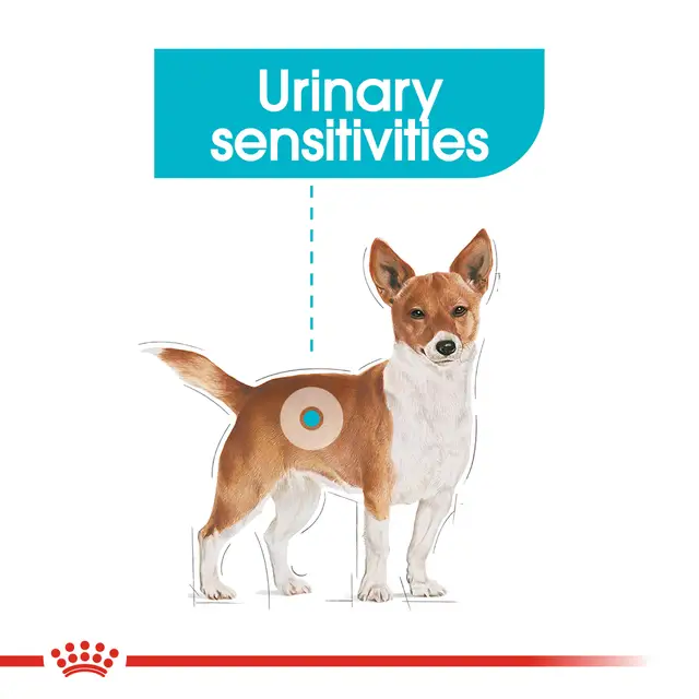 Royal Canin Care Mini Urinary Care, 1 кг - Image 4