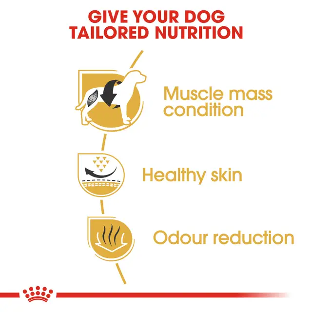 Royal Canin French Bulldog Adult, 9 кг - Image 5