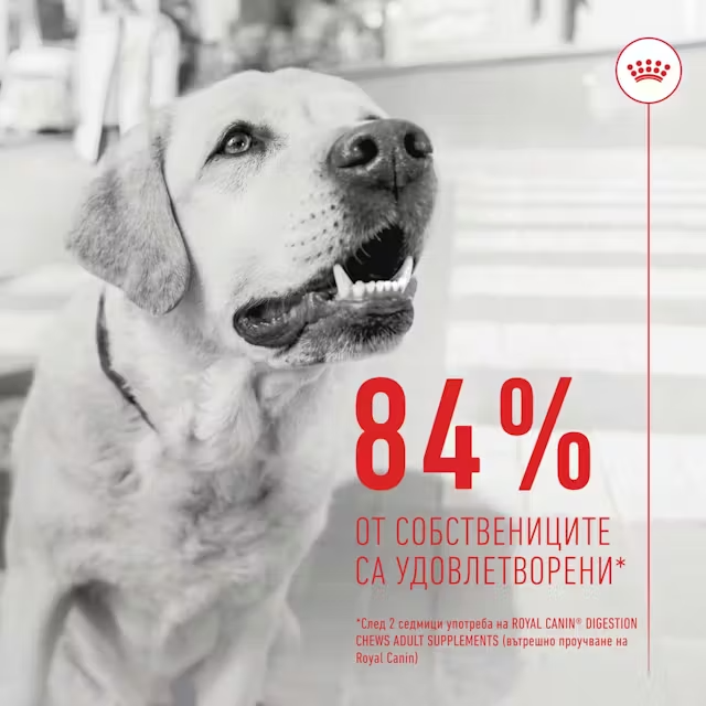 Royal Canin Digestion Adult Supplement, 160 г - Image 5