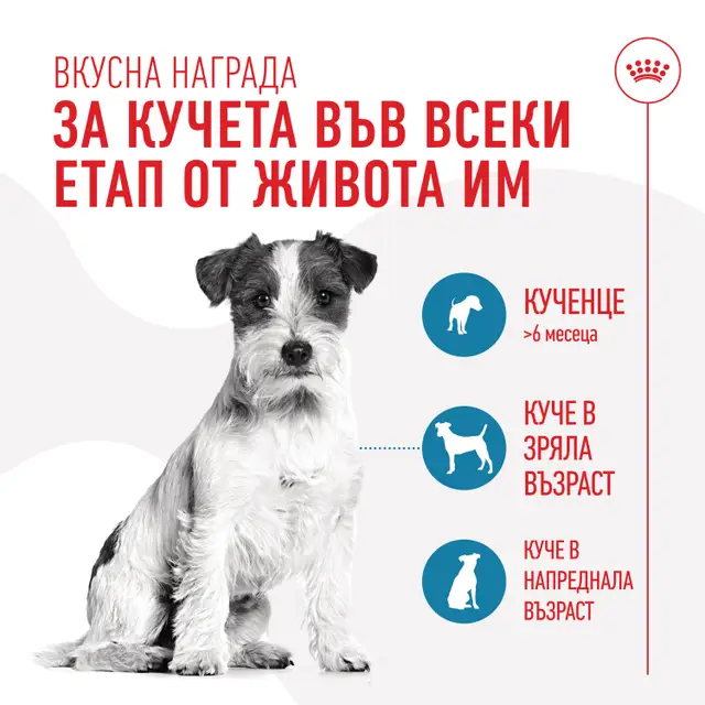 Royal Canin Training Treats, 110 г - Image 6