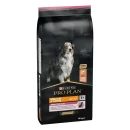 Pro Plan Medium & Large Adult 7+ Sensitive Skin със сьомга, 14 кг