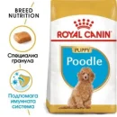 Royal Canin Poodle Puppy, 3 кг